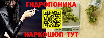spice Краснознаменск