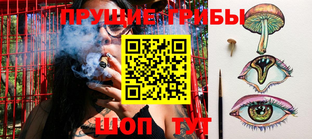 Кировск  Псилоцибиновые грибы GOLDEN TEACHER  Вход с VPN 
